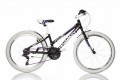 ACRA Dv sportovn kolo Dino 24" ern