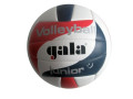 GALA 5093S JUNIOR M volejbal